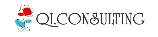 Q. I. CONSULTING